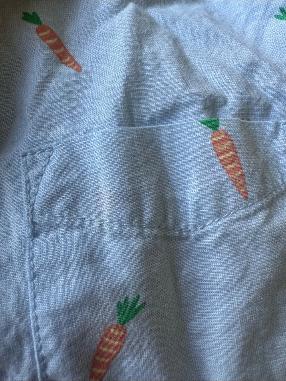 The Children's Place Pale Blue Button-Up Shirt with Carrot Print